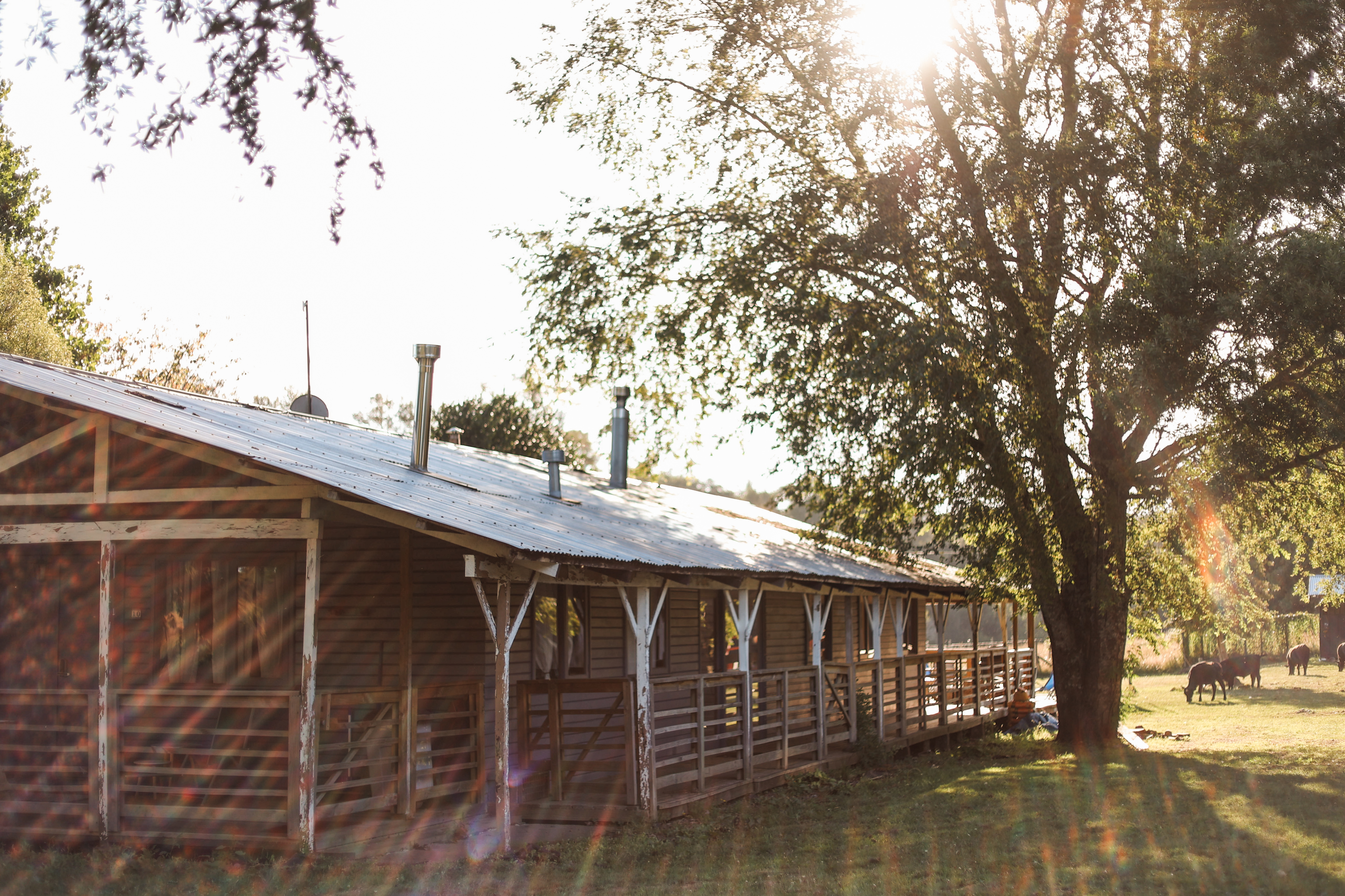 Lodging gallery image 6