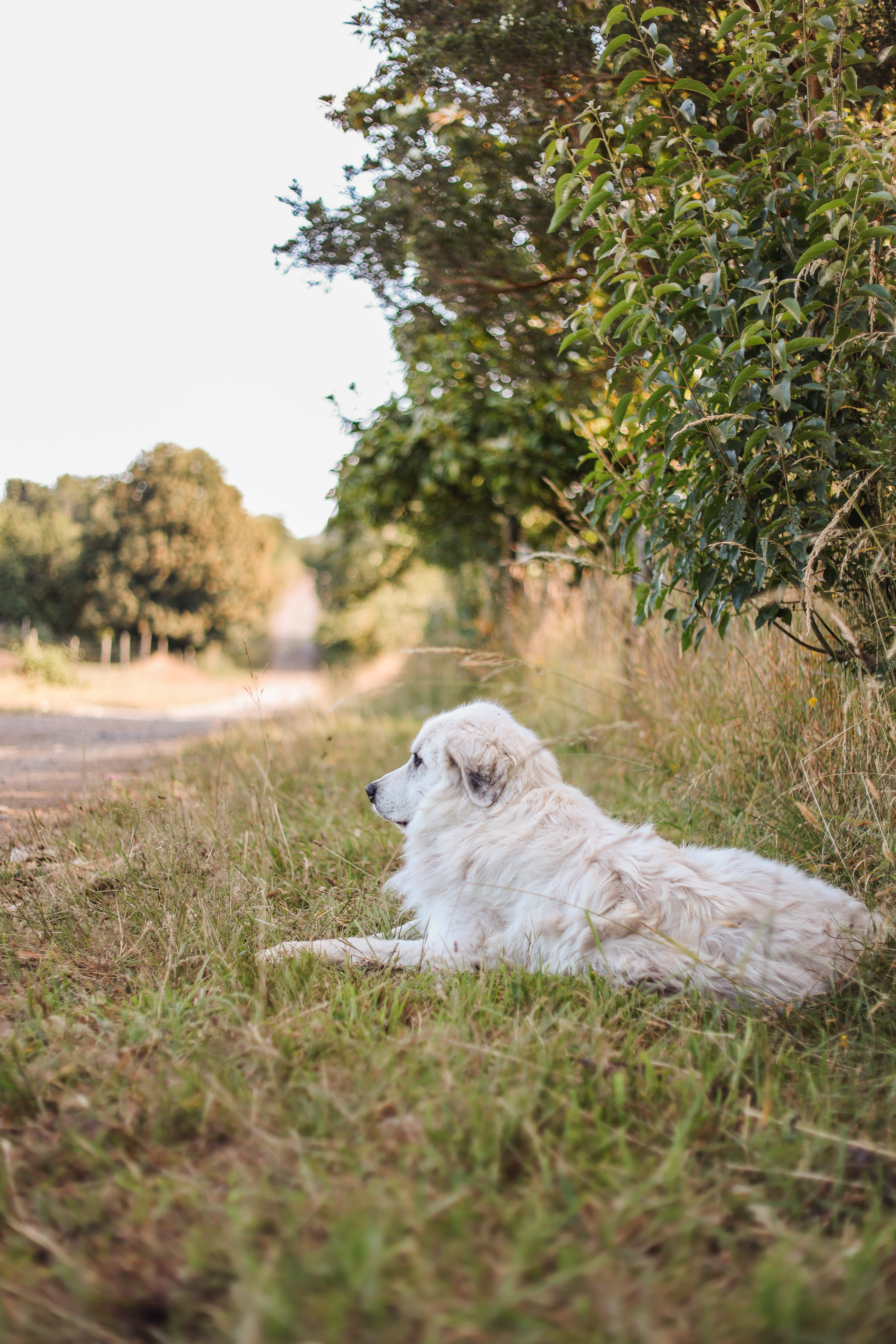 Lodging gallery image 3