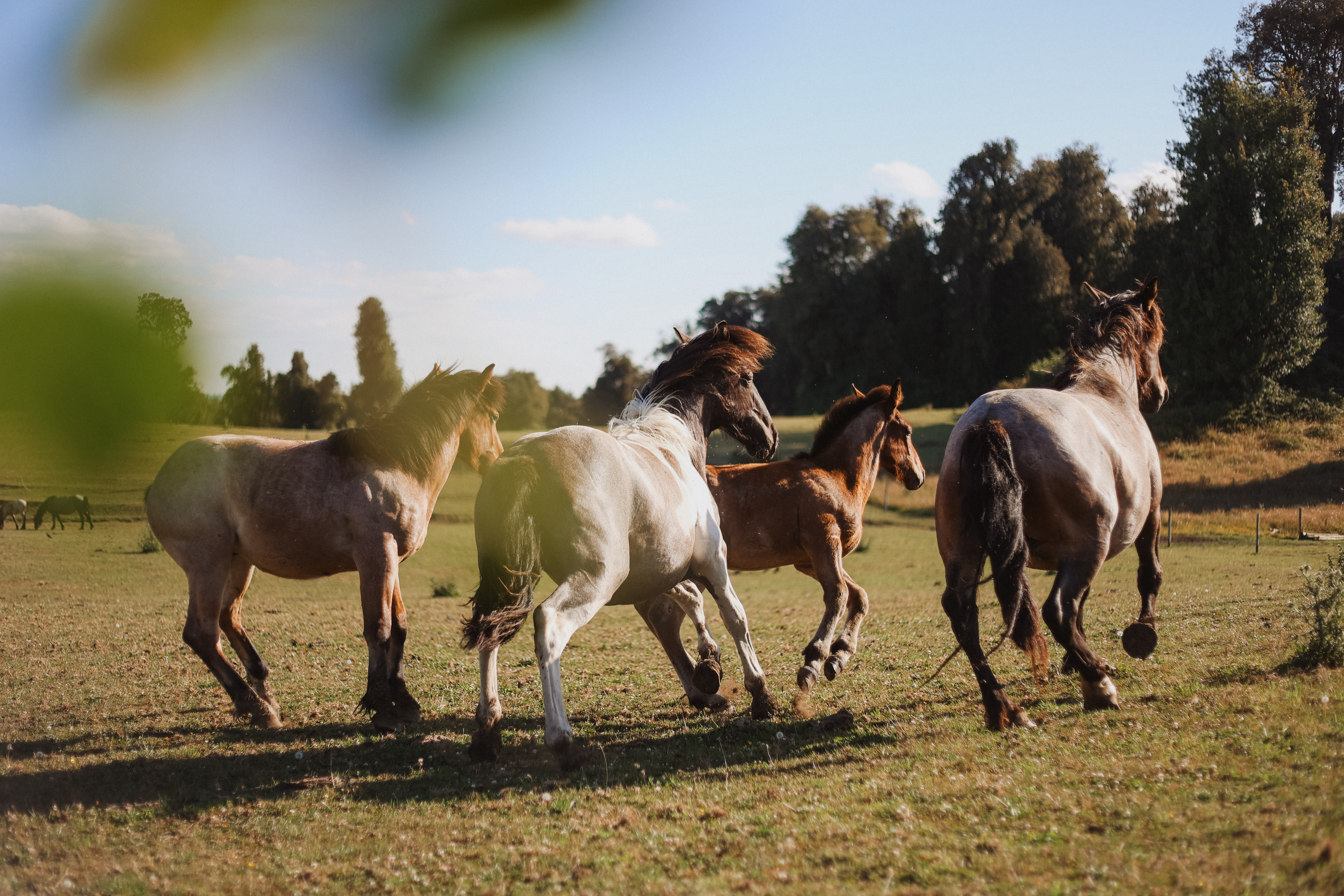 Lodging gallery image 4