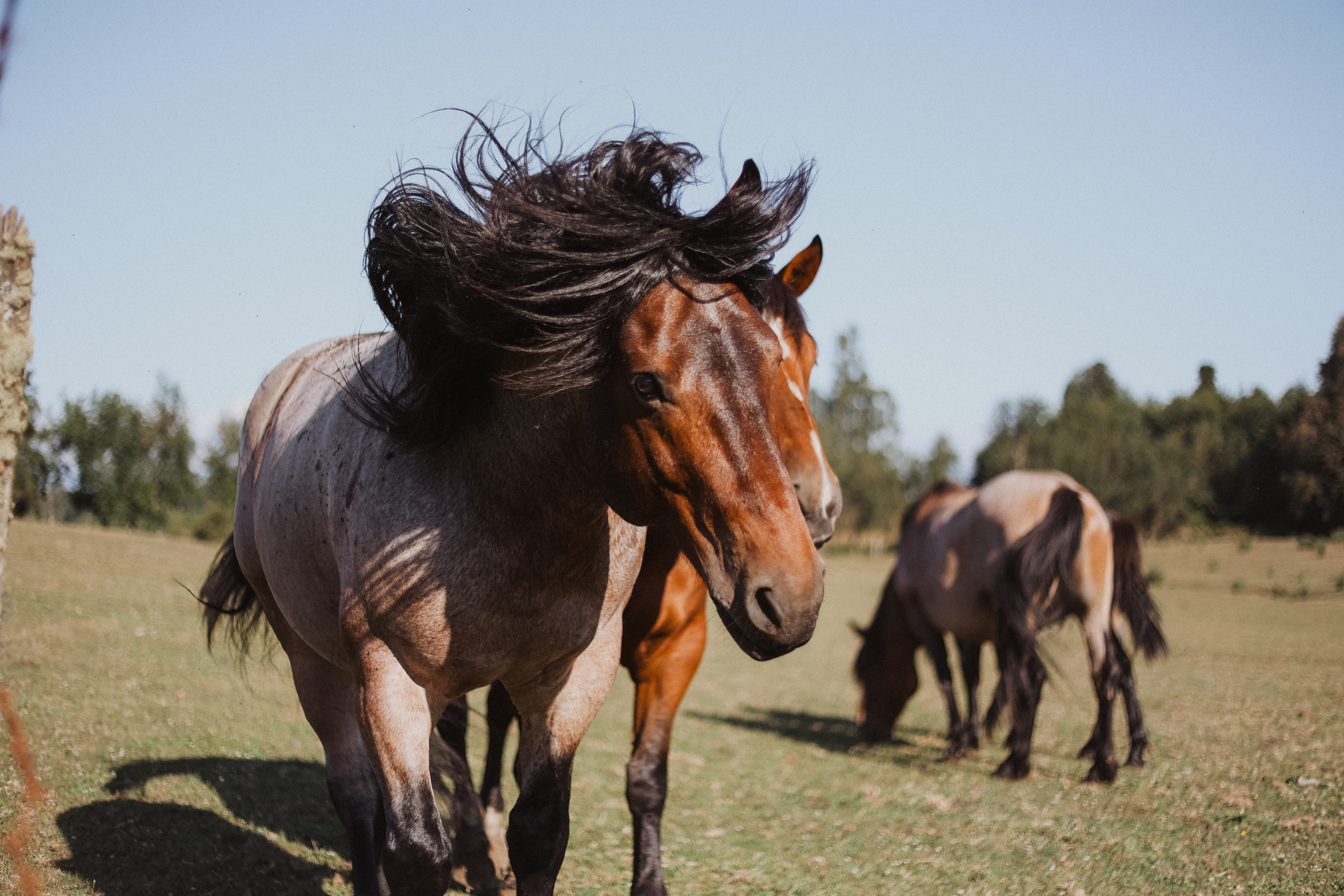 Lodging gallery image 3