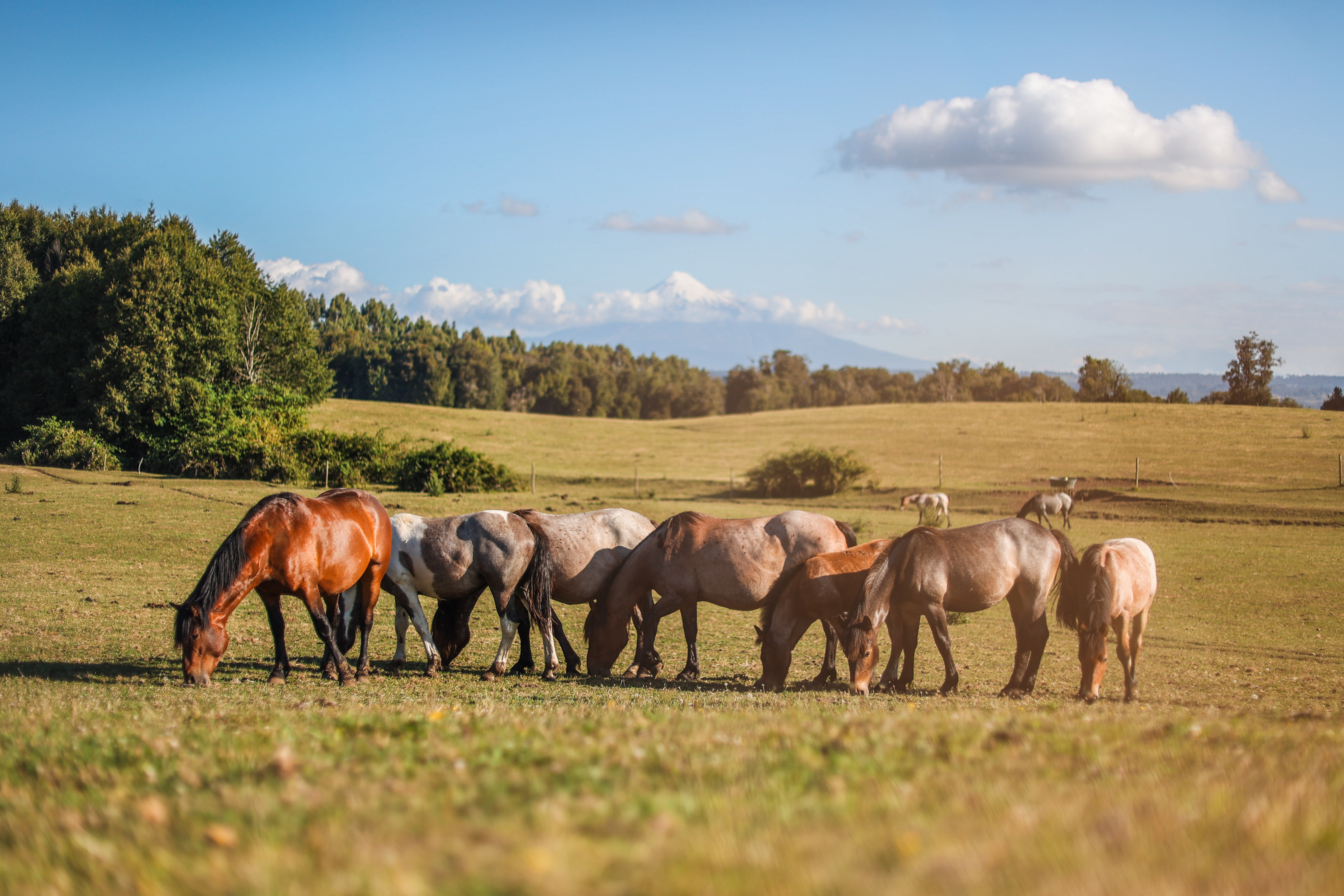 Lodging gallery image 2
